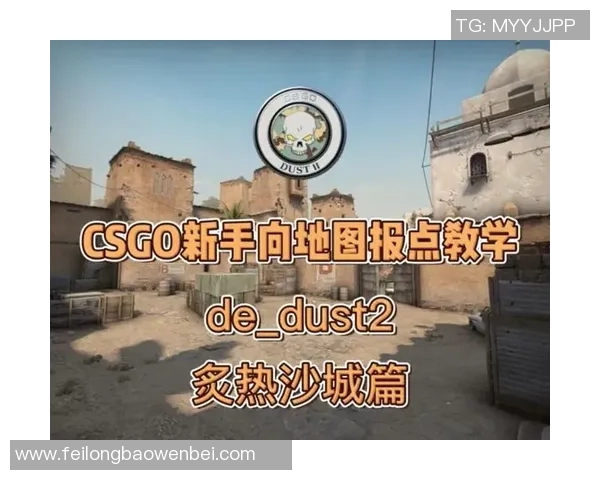 新手必看CSGO与S15LOL入门攻略全方位提升游戏技巧与体验 新手必看CSGO与S15LOL入门攻略全方位提升游戏技巧与体验
