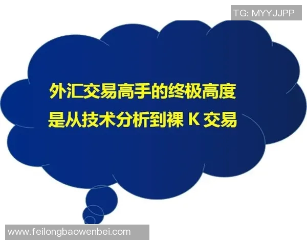 独家解析WE团队协作模式与其他团队的对比分析与启示